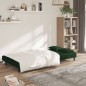 vidaXL Schlafsofa 2-Sitzer mit 2 Kissen Dunkelgrün Samt vidaXL Schlafsofa 2-Sitzer mit 2 Kissen Dunkelgrün Samt