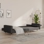 vidaXL Schlafsofa 2-Sitzer mit 2 Kissen Dunkelgrau Samt vidaXL Schlafsofa 2-Sitzer mit 2 Kissen Dunkelgrau Samt