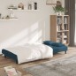 vidaXL Schlafsofa 2-Sitzer mit 2 Kissen Blau Samt vidaXL Schlafsofa 2-Sitzer mit 2 Kissen Blau Samt