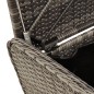 vidaXL Sitzbank mit Stauraum & Kissen Grau 115x51x52 cm Poly Rattan vidaXL Sitzbank mit Stauraum & Kissen Grau 115x51x52 cm Poly Rattan