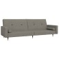 vidaXL Schlafsofa 2-Sitzer mit 2 Kissen Hellgrau Samt vidaXL Schlafsofa 2-Sitzer mit 2 Kissen Hellgrau Samt