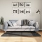 vidaXL Teppich ISTAN Hochflor Glänzend Anthrazit 80x150 cm vidaXL Teppich ISTAN Hochflor Glänzend Anthrazit 80x150 cm