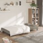 vidaXL Schlafsofa 2-Sitzer mit 2 Kissen Hellgrau Samt vidaXL Schlafsofa 2-Sitzer mit 2 Kissen Hellgrau Samt