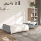 vidaXL Schlafsofa 2-Sitzer Hellgrau Samt vidaXL Schlafsofa 2-Sitzer Hellgrau Samt