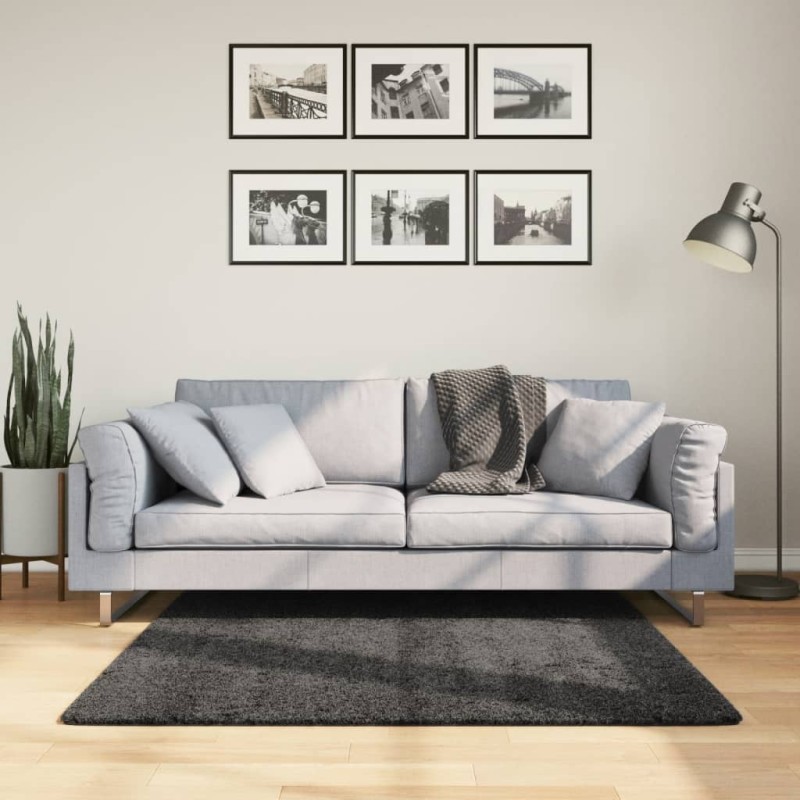 vidaXL Teppich Shaggy Hochflor Modern Anthrazit 120x120 cm vidaXL Teppich Shaggy Hochflor Modern Anthrazit 120x120 cm