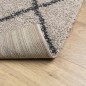 vidaXL Teppich Shaggy Hochflor Modern Beige und Anthrazit 120x170 cm vidaXL Teppich Shaggy Hochflor Modern Beige und Anthrazit 120x170 cm