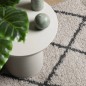 vidaXL Teppich Shaggy Hochflor Modern Beige und Anthrazit 120x170 cm vidaXL Teppich Shaggy Hochflor Modern Beige und Anthrazit 120x170 cm