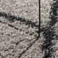 vidaXL Teppich Shaggy Hochflor Modern Beige und Anthrazit 120x170 cm vidaXL Teppich Shaggy Hochflor Modern Beige und Anthrazit 120x170 cm