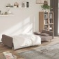 vidaXL Schlafsofa 2-Sitzer mit 2 Kissen Taupe Stoff vidaXL Schlafsofa 2-Sitzer mit 2 Kissen Taupe Stoff