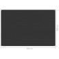 vidaXL Zeltteppich 200x300 cm Anthrazit vidaXL Zeltteppich 200x300 cm Anthrazit