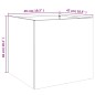 vidaXL Pflanzkübel 2 Stk. Weiß 49x47x46 cm Kaltgewalzter Stahl vidaXL Pflanzkübel 2 Stk. Weiß 49x47x46 cm Kaltgewalzter Stahl