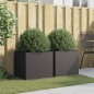 vidaXL Pflanzkübel 2 Stk. Schwarz 49x47x46 cm Kaltgewalzter Stahl vidaXL Pflanzkübel 2 Stk. Schwarz 49x47x46 cm Kaltgewalzter Stahl