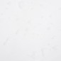 vidaXL Abdeckplane Weiß 5x5 m 600 g/m² vidaXL Abdeckplane Weiß 5x5 m 600 g/m²