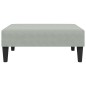 vidaXL Schlafsofa 2-Sitzer mit Kissen und Fußhocker Hellgrau Samt vidaXL Schlafsofa 2-Sitzer mit Kissen und Fußhocker Hellgrau Samt