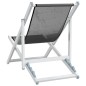 vidaXL Strandstühle 2 Stk. Klappbar Grau Aluminium und Textilene vidaXL Strandstühle 2 Stk. Klappbar Grau Aluminium und Textilene
