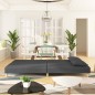 vidaXL Schlafsofa 2-Sitzer mit 2 Kissen Dunkelgrau Stoff vidaXL Schlafsofa 2-Sitzer mit 2 Kissen Dunkelgrau Stoff