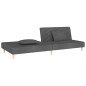 vidaXL Schlafsofa 2-Sitzer mit 2 Kissen Dunkelgrau Stoff vidaXL Schlafsofa 2-Sitzer mit 2 Kissen Dunkelgrau Stoff