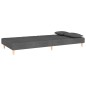 vidaXL Schlafsofa 2-Sitzer mit 2 Kissen Dunkelgrau Stoff vidaXL Schlafsofa 2-Sitzer mit 2 Kissen Dunkelgrau Stoff