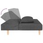 vidaXL Schlafsofa 2-Sitzer mit 2 Kissen Dunkelgrau Stoff vidaXL Schlafsofa 2-Sitzer mit 2 Kissen Dunkelgrau Stoff