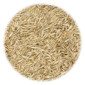 vidaXL Rasensamen 5 kg