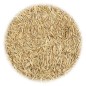 vidaXL Rasensamen für Trockenheit und Hitze 30 kg vidaXL Rasensamen für Trockenheit und Hitze 30 kg