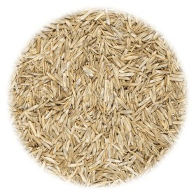 vidaXL Grassamen für Feld und Weide 10 kg