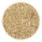 vidaXL Rasensamen für Trockenheit und Hitze 10 kg vidaXL Rasensamen für Trockenheit und Hitze 10 kg