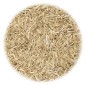 vidaXL Grassamen für Feld und Weide 30 kg vidaXL Grassamen für Feld und Weide 30 kg