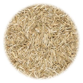 vidaXL Grassamen für Feld und Weide 20 kg