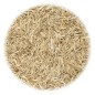 vidaXL Grassamen für Feld und Weide 20 kg vidaXL Grassamen für Feld und Weide 20 kg