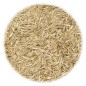 vidaXL Rasensamen 10 kg vidaXL Rasensamen 10 kg