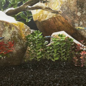 Bodengrund für Aquarien