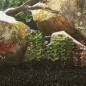vidaXL Aquariensand 25 kg Schwarz 0,2-2 mm vidaXL Aquariensand 25 kg Schwarz 0,2-2 mm