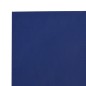 vidaXL Abdeckplane Blau 1,5x10 m 650 g/m² vidaXL Abdeckplane Blau 1,5x10 m 650 g/m²