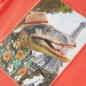 Kinder-T-Shirt Hellrot 92 Kinder-T-Shirt Hellrot 92