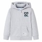 Kinder-Kapuzenpullover mit Reißverschluss Grau 128 Kinder-Kapuzenpullover mit Reißverschluss Grau 128