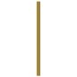 vidaXL Möbelgriffe 10 Stk. Golden 224 mm Edelstahl vidaXL Möbelgriffe 10 Stk. Golden 224 mm Edelstahl