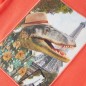 Kinder-T-Shirt Hellrot 104 Kinder-T-Shirt Hellrot 104