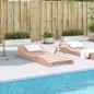 vidaXL Sonnenliege 205x80x31,5 cm Massivholz Douglasie vidaXL Sonnenliege 205x80x31,5 cm Massivholz Douglasie