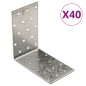 vidaXL Winkelhalterungen 40 Stk. 2 mm 100x60x100 mm Verzinkter Stahl vidaXL Winkelhalterungen 40 Stk. 2 mm 100x60x100 mm Verzinkter Stahl