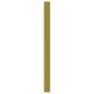vidaXL Möbelgriffe 20 Stk. Golden 160 mm Edelstahl vidaXL Möbelgriffe 20 Stk. Golden 160 mm Edelstahl