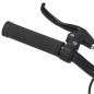 vidaXL Fahrrad mit Festem Gang Weiß und Grün 700c 51 cm vidaXL Fahrrad mit Festem Gang Weiß und Grün 700c 51 cm