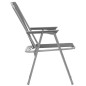 vidaXL Klappbare Campingstühle 2 Stück 52 x 59 x 80 cm Grau vidaXL Klappbare Campingstühle 2 Stück 52 x 59 x 80 cm Grau