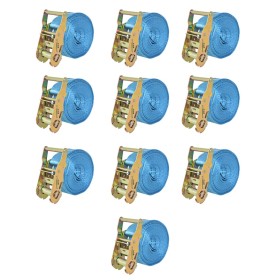 vidaXL Ratschen-Spanngurte 10 Stk. 2 Tonnen 6m×38mm Blau