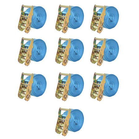 vidaXL Ratschen-Spanngurte 10 Stk. 2 Tonnen 6m×38mm Blau