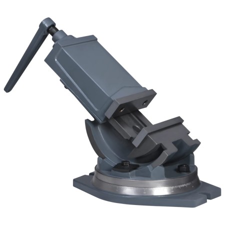 vidaXL 2-Achsen-Schraubstock Kippbar 160 mm