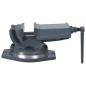 vidaXL 2-Achsen-Schraubstock Kippbar 160 mm vidaXL 2-Achsen-Schraubstock Kippbar 160 mm