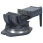 vidaXL 2-Achsen-Schraubstock Kippbar 160 mm vidaXL 2-Achsen-Schraubstock Kippbar 160 mm
