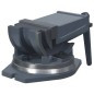 vidaXL 2-Achsen-Schraubstock Kippbar 160 mm vidaXL 2-Achsen-Schraubstock Kippbar 160 mm