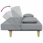 vidaXL Schlafsofa 2-Sitzer mit Kissen und Fußhocker Hellgrau Stoff vidaXL Schlafsofa 2-Sitzer mit Kissen und Fußhocker Hellgrau Stoff